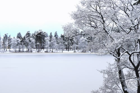 Brianna-White-winter