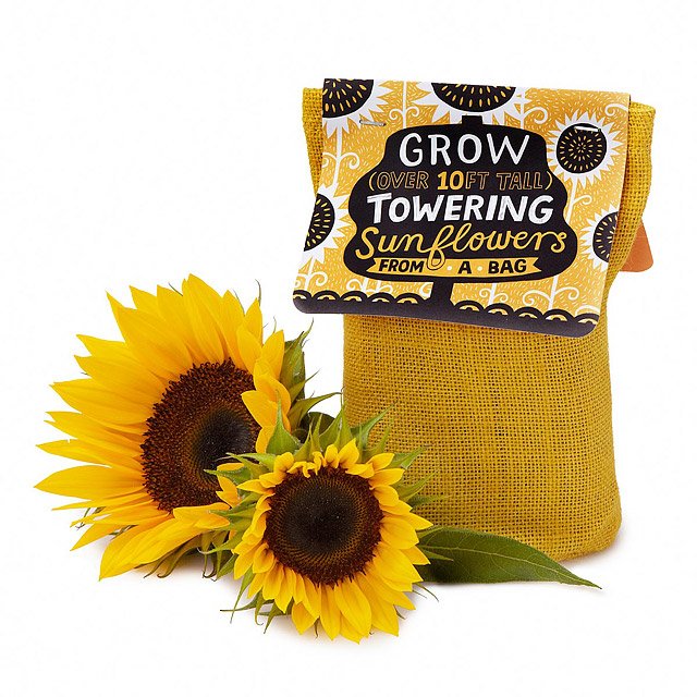 Grow-Your-Own-Sunflowers-Stocking-Stuffers