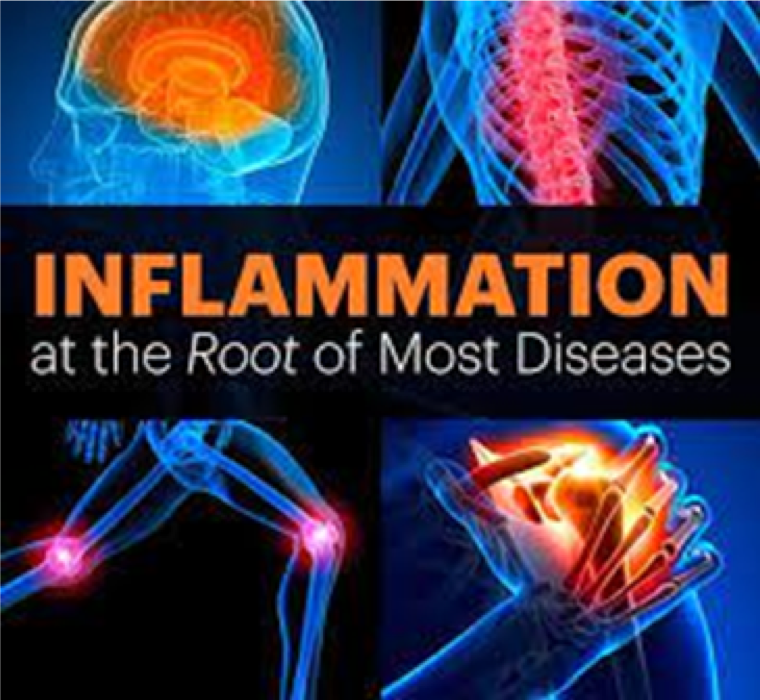 inflammation-the-road-disease