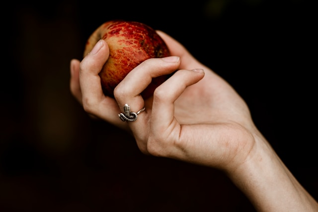 Photo Courtesy of Andy Bodemer on Unsplash