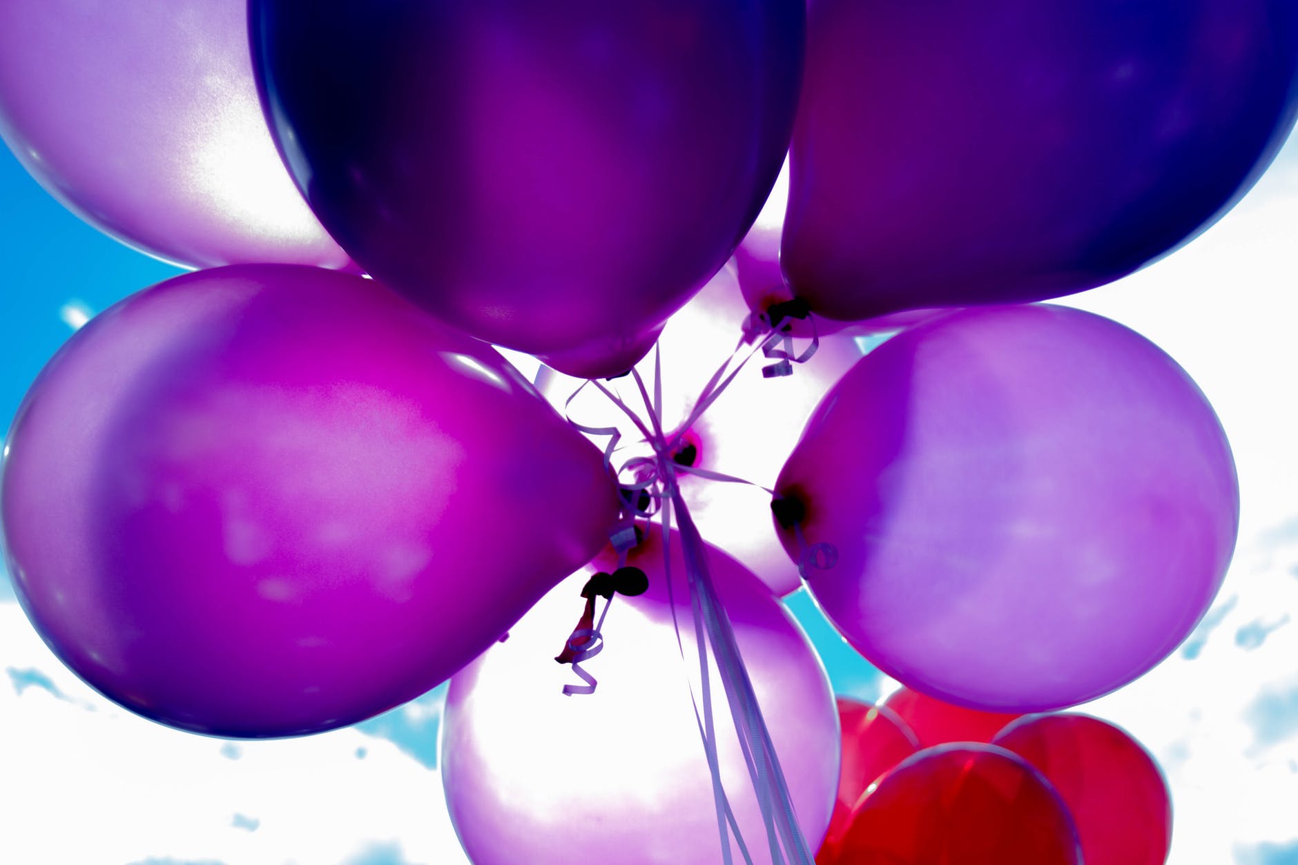 Auction, Dance, Sparkle, Women Networking,
