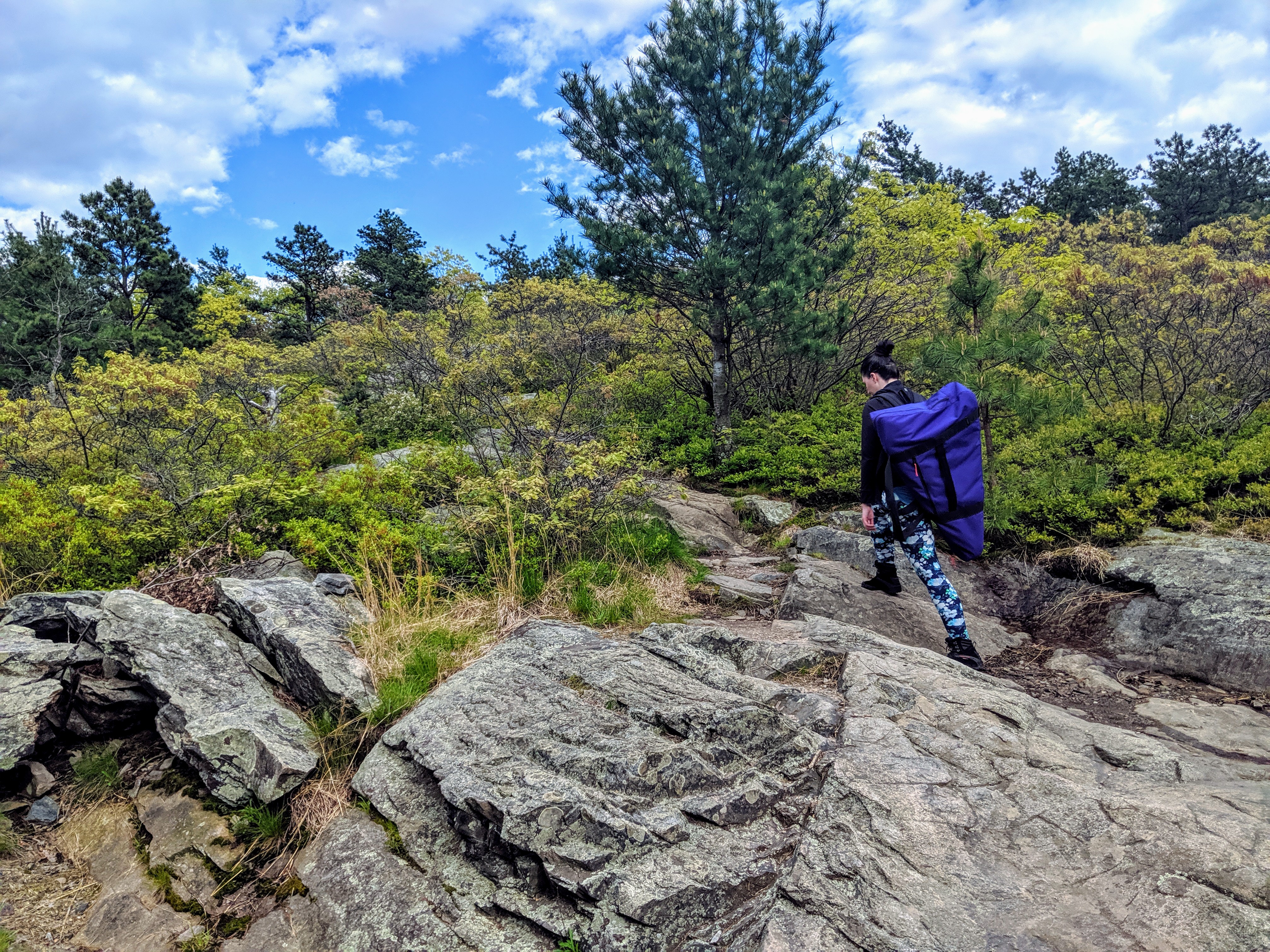 Hiking Harpist