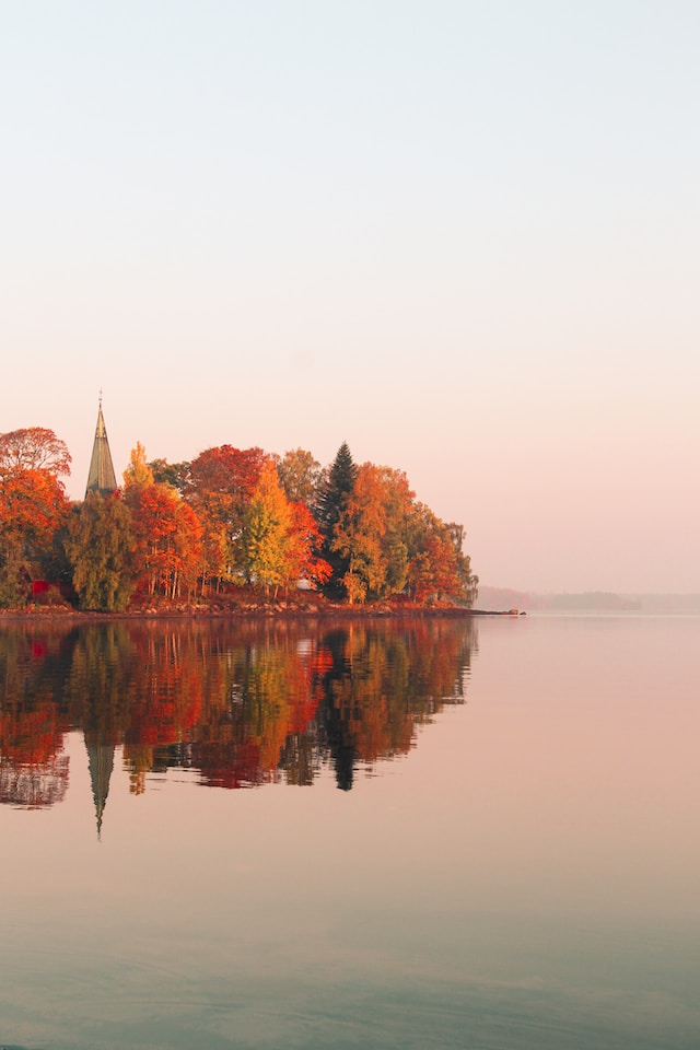 Photo Courtesy of Storiès on Unsplash