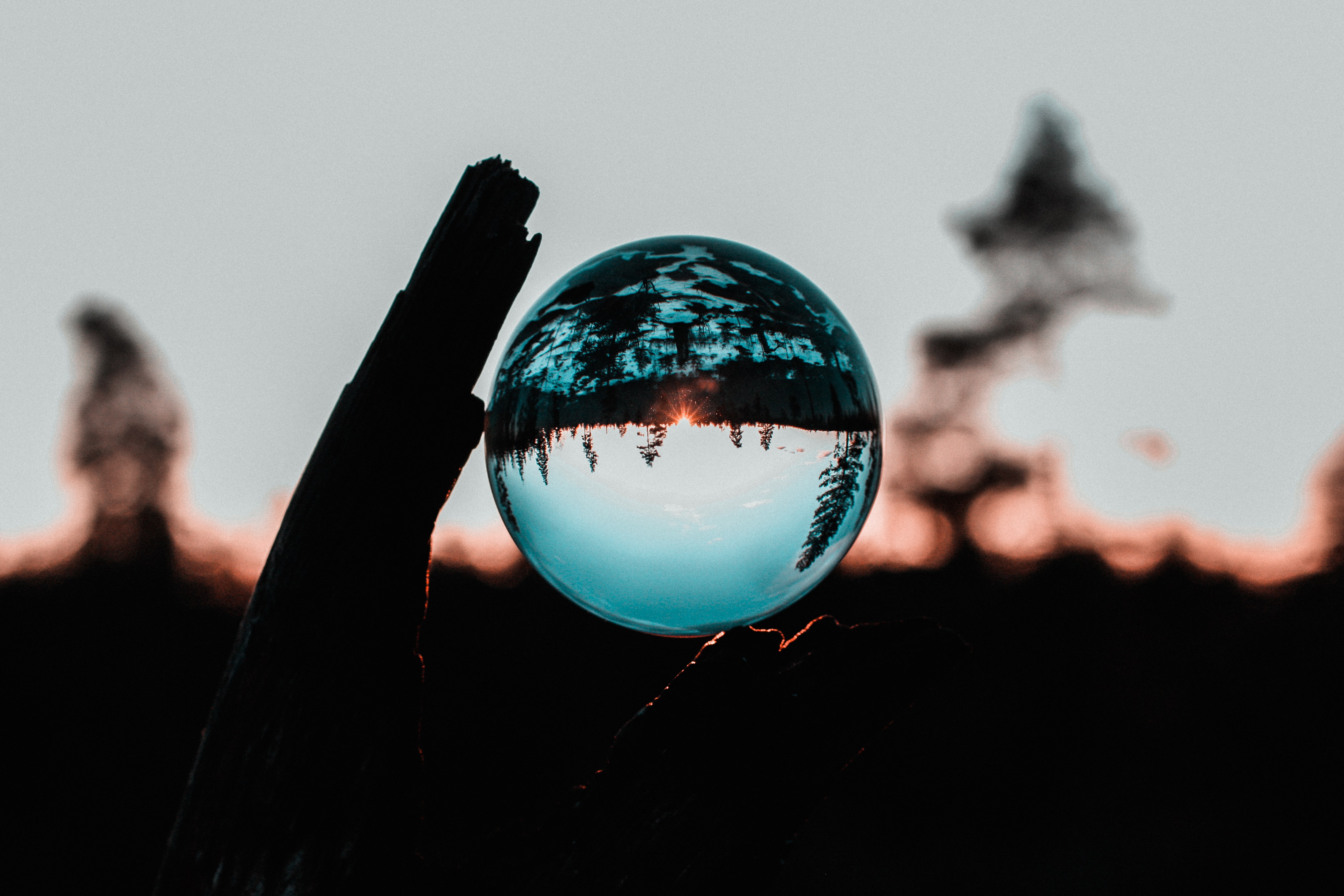  Reality Tobias Bjerknes