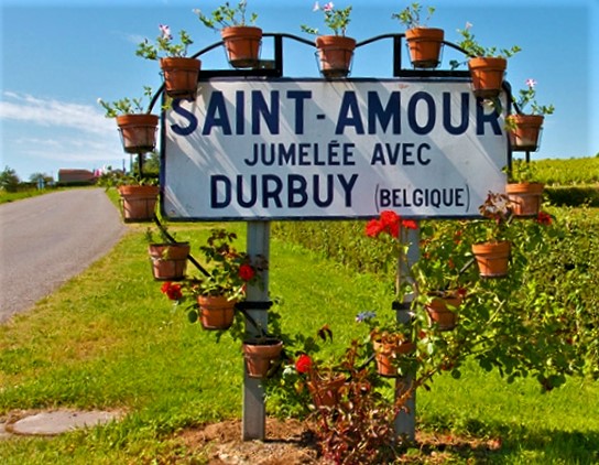 St. Amour Beaujolais Wines