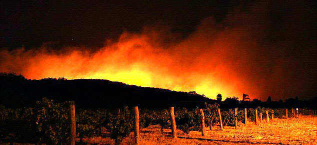 Tom Oetinger Napa Valley Changing Climates