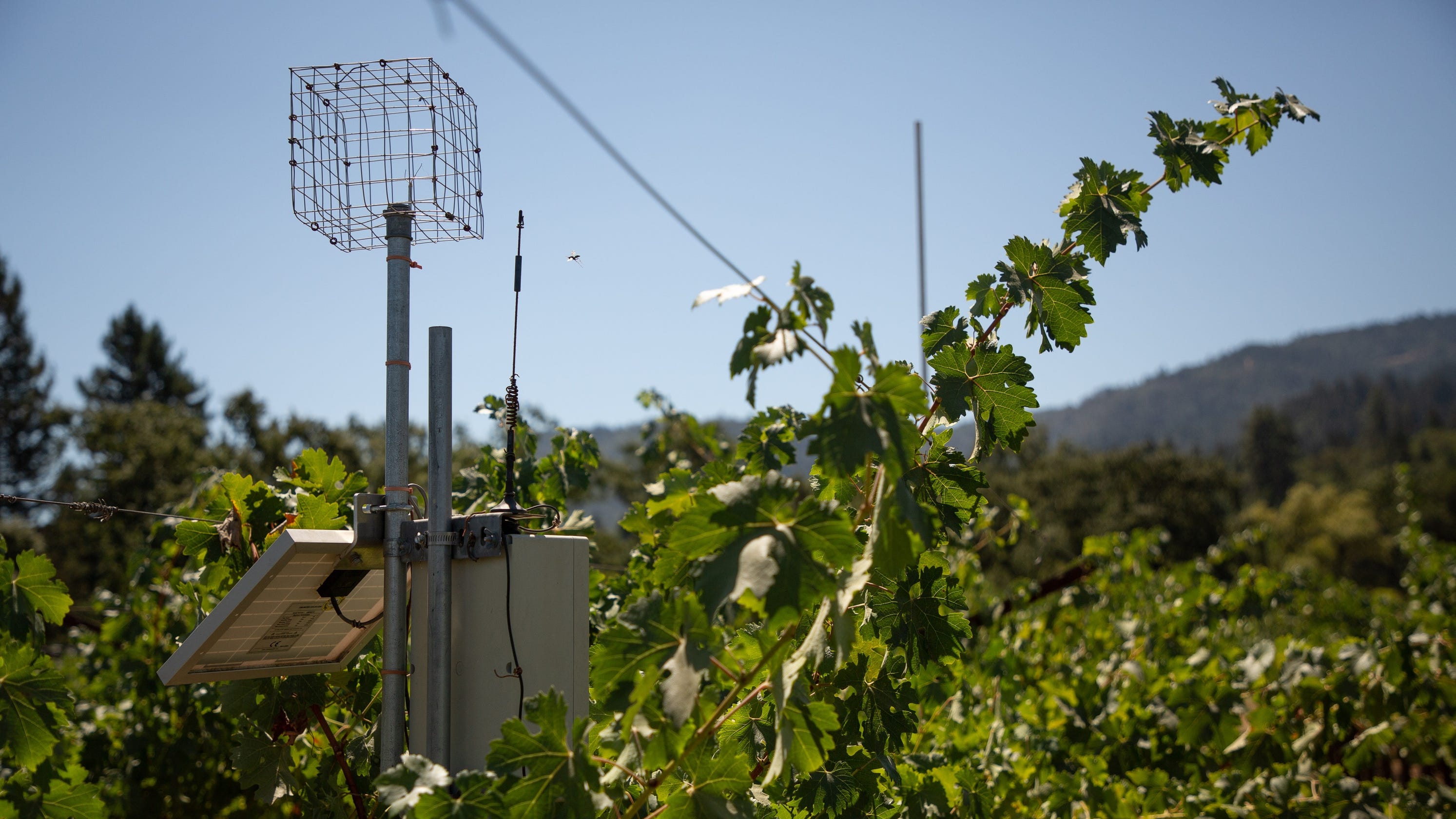 Wine-Climate-Change-courtesy of-USA Today