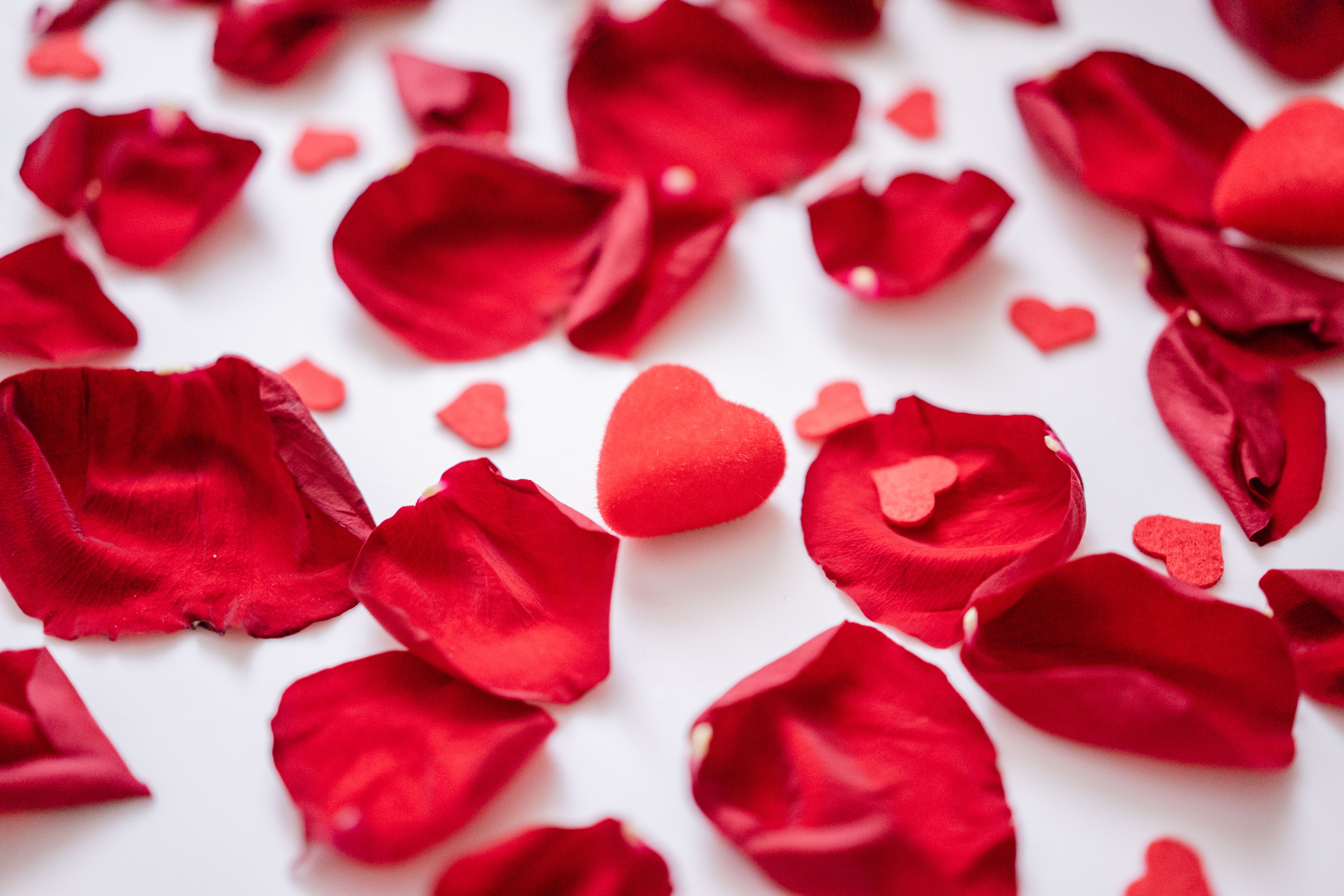 Wedding Confetti