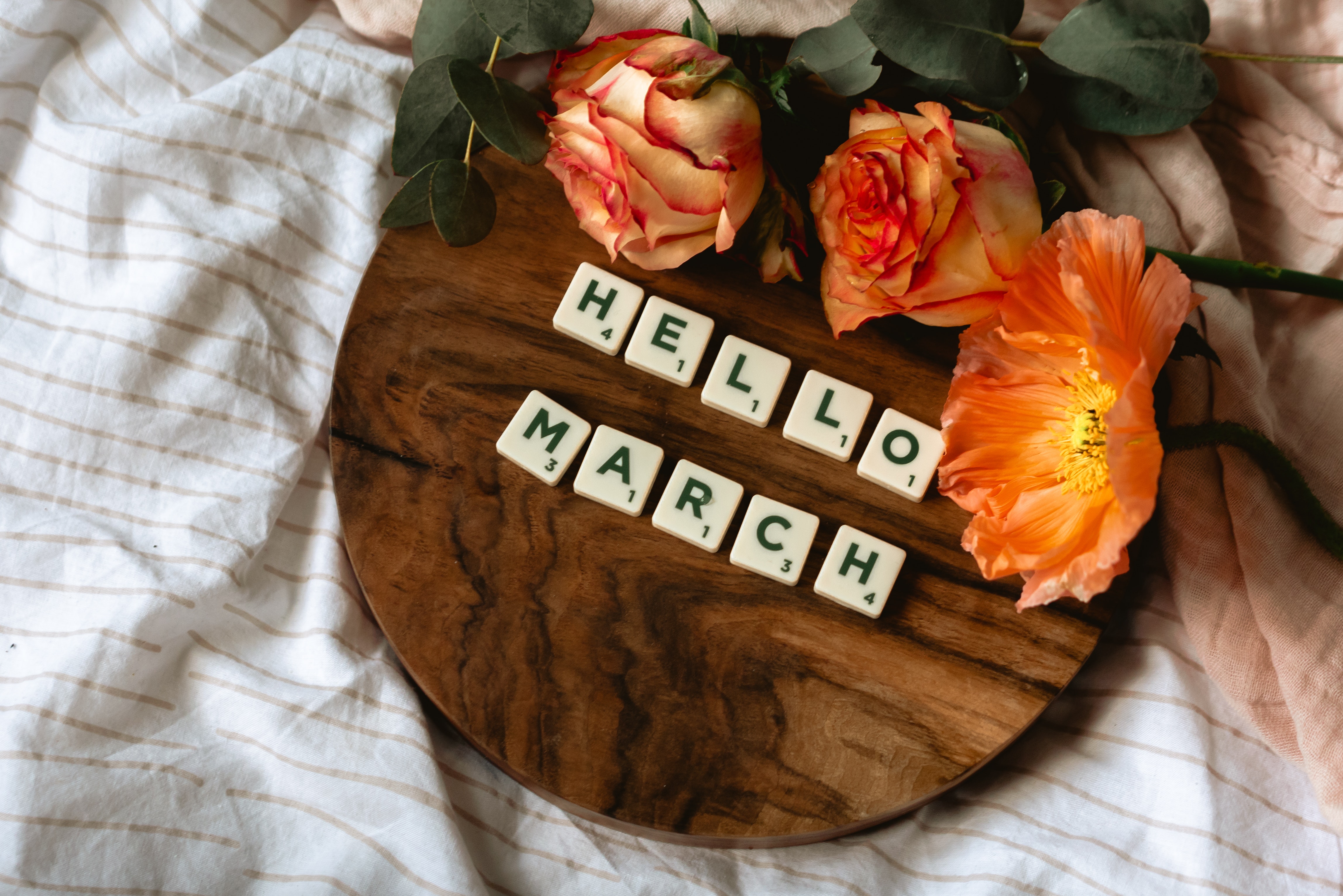 herself360-member-sponsored-events-march-2023